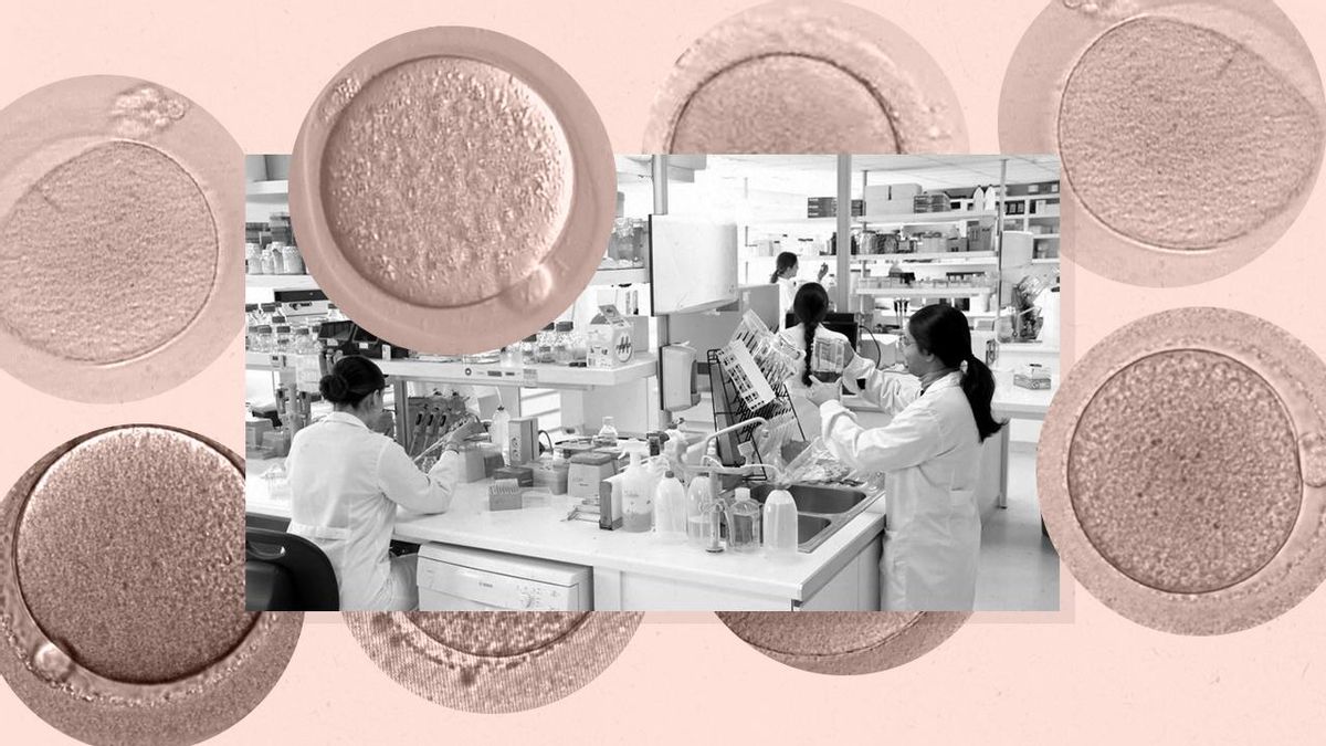 Las mujeres no pueden destruir sus óvulos y preembriones congelados aunque ya no los necesiten