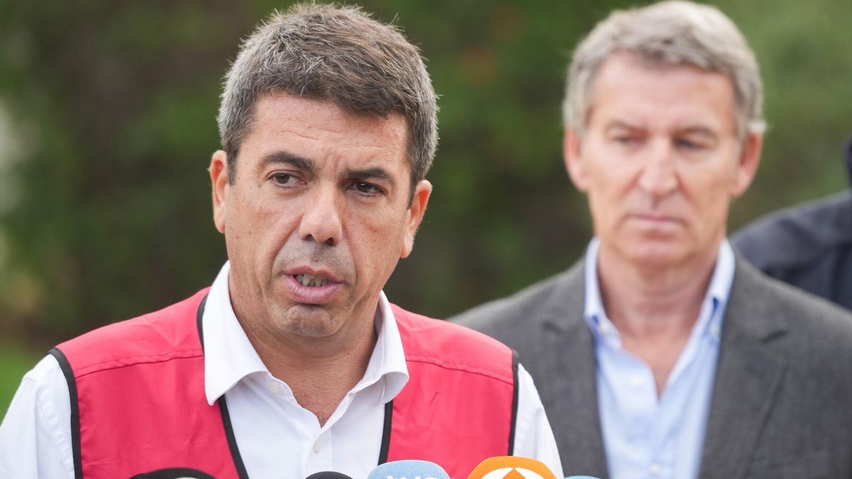 La asociación de víctimas mortales de la dana pide a la jueza que declare Feijóo