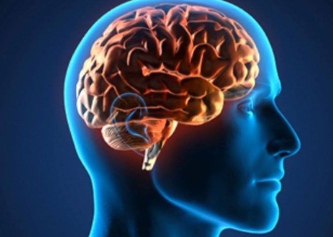 No, nuestro cerebro no se “desarrolla completamente” de golpe a los 25 años: esto es lo que dice la neurociencia