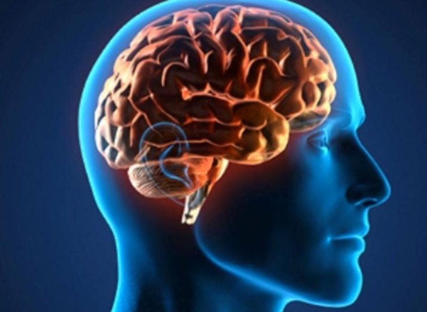 No, nuestro cerebro no se “desarrolla completamente” de golpe a los 25 años: esto es lo que dice la neurociencia