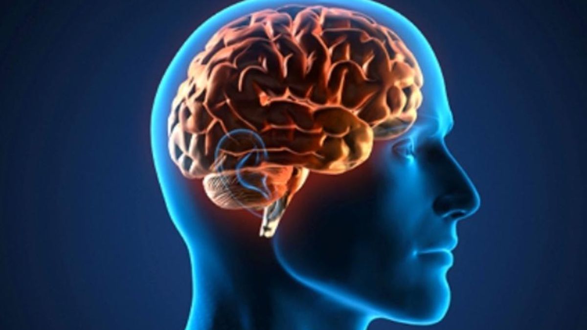 No, nuestro cerebro no se “desarrolla completamente” de golpe a los 25 años: esto es lo que dice la neurociencia
