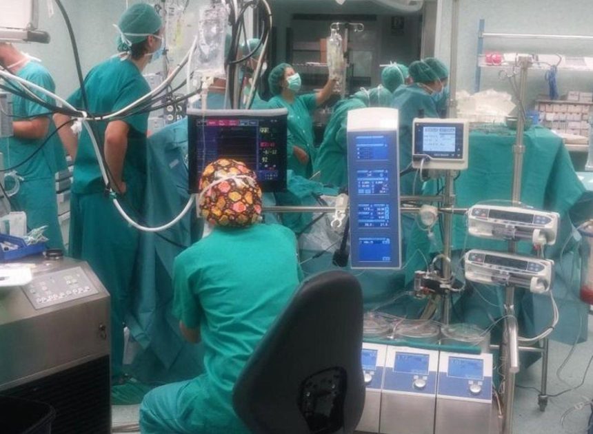 España vuelve a coronarse como líder mundial en trasplantes de órganos