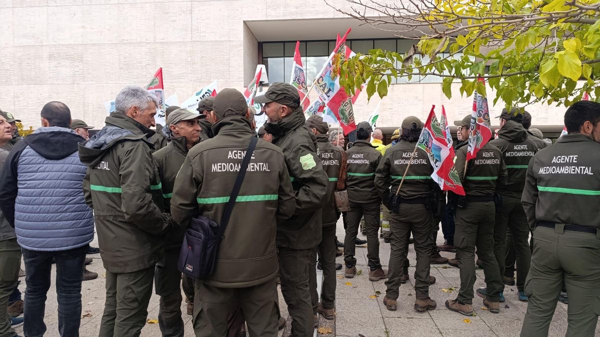 Incendios, residuos o caza ilegal: cientos de denuncias ambientales, paralizadas en Castilla y León por falta de personal