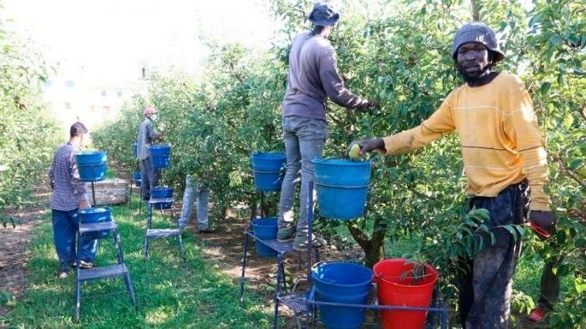 Bruselas da un portazo a la intención del PP y Vox de convertir la regularización de inmigrantes en un problema europeo