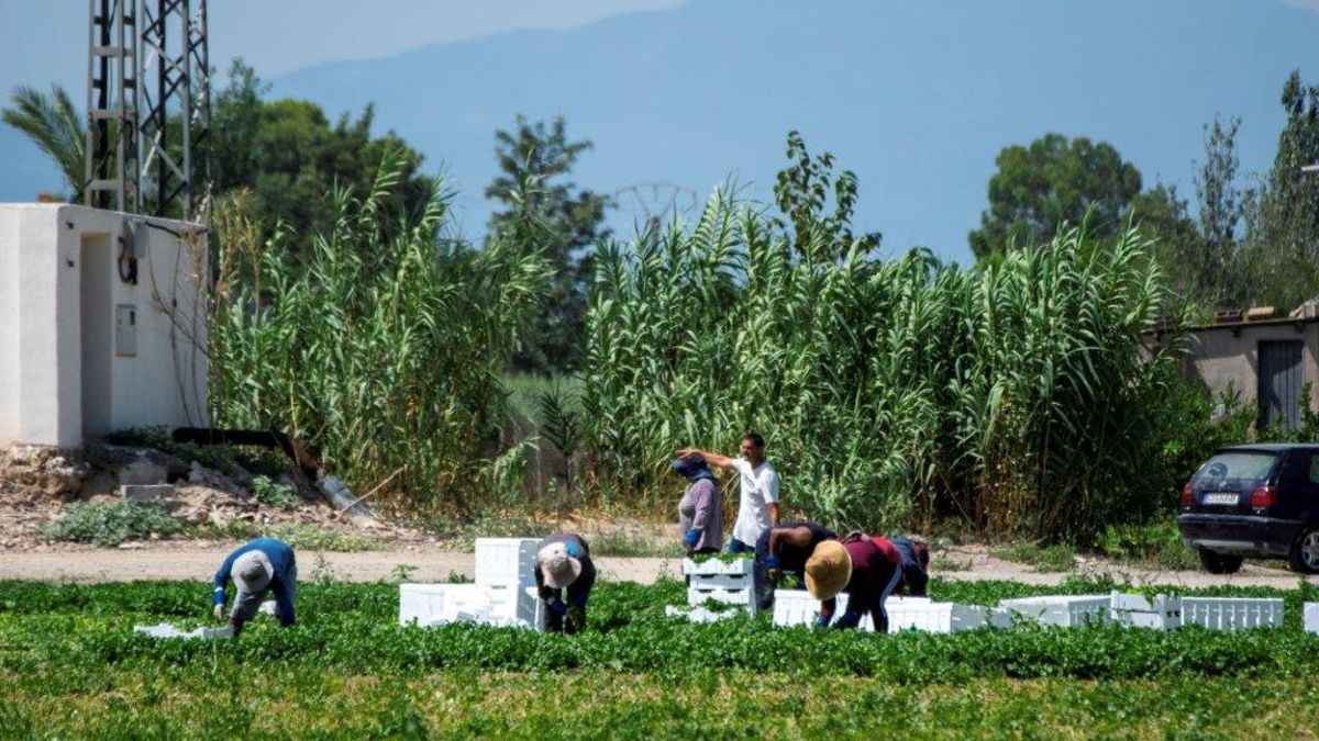 El círculo vicioso de la región menos productiva: Murcia sobrevive entre el empleo precario y el abandono escolar