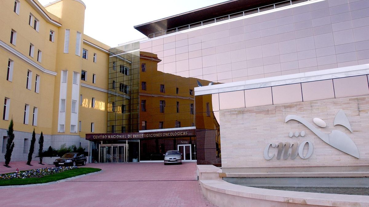 Investigadores del CNIO eliminan por primera vez el cáncer de páncreas en ratones sin que aparezcan resistencias