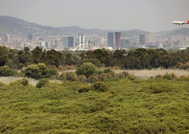Un avión comercial procedente de Estambul aterriza de emergencia en Barcelona tras detectar una amenaza