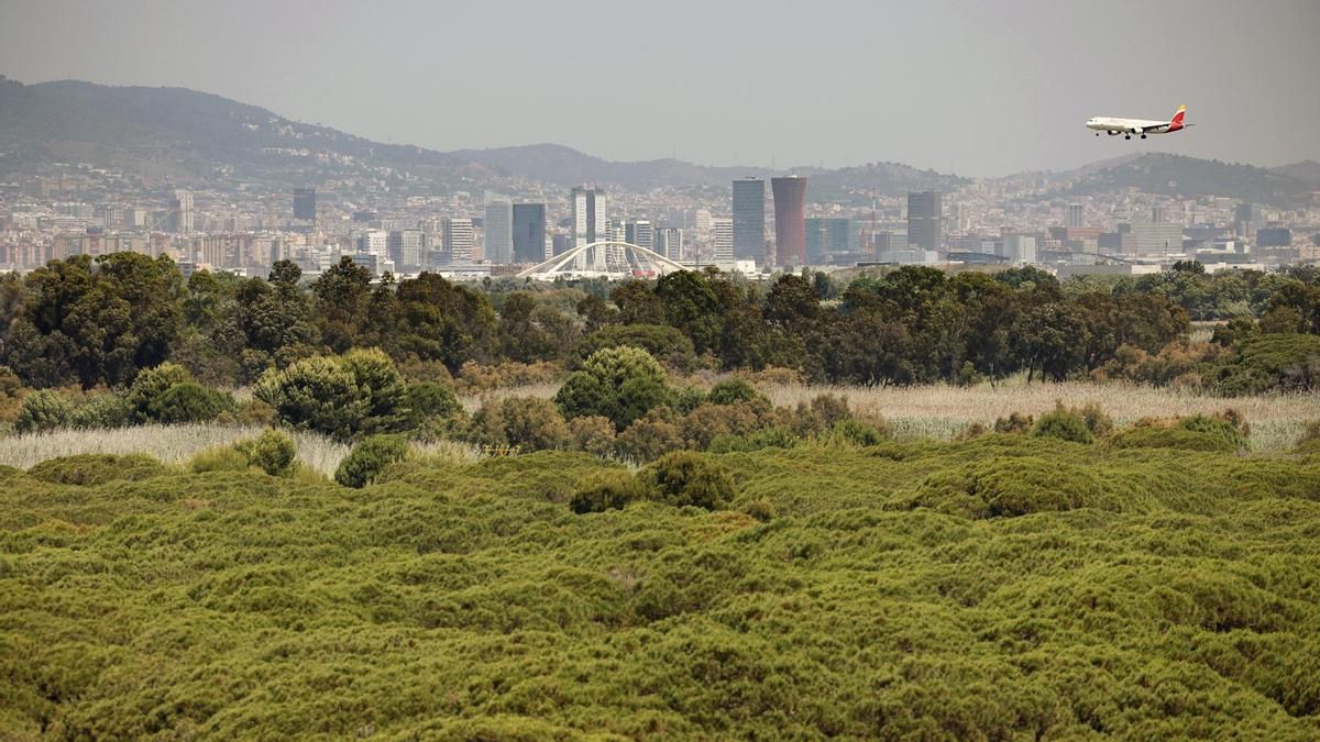 Un avión comercial procedente de Estambul aterriza de emergencia en Barcelona tras detectar una amenaza