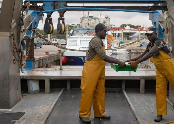 Senegal como salvavidas: la pesca artesanal andaluza busca mano de obra para no desaparecer