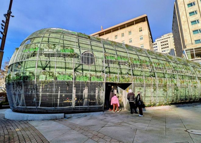 Abre la cafetería del millón de euros en Plaza de España: adiós a cuatro años de ‘búnker’ y hola al nuevo Café Cervantes