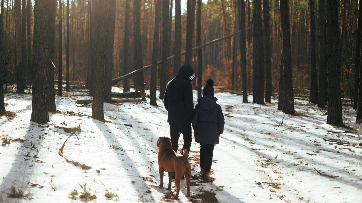 Los consejos de una psicóloga para superar la cuesta de enero: «Lo primero es dar espacio a las emociones sin juzgarlas»