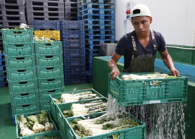 El Gobierno matiza los plazos de la regularización: los cinco meses de residencia pueden ser posteriores al 31 de diciembre si se ha llegado antes