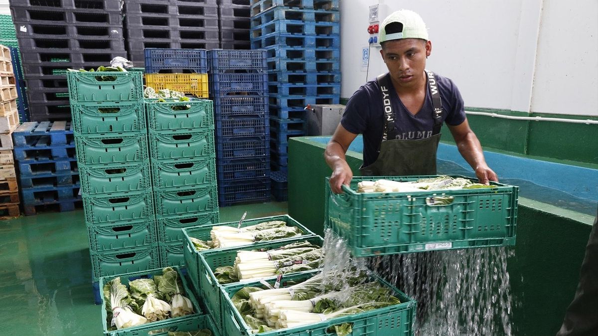 El Gobierno matiza los plazos de la regularización: los cinco meses de residencia pueden ser posteriores al 31 de diciembre si se ha llegado antes