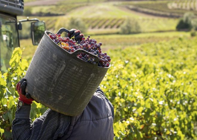 Los países de la UE aprueban el acuerdo comercial con Mercosur