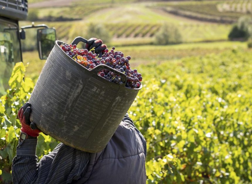 Los países de la UE aprueban el acuerdo comercial con Mercosur