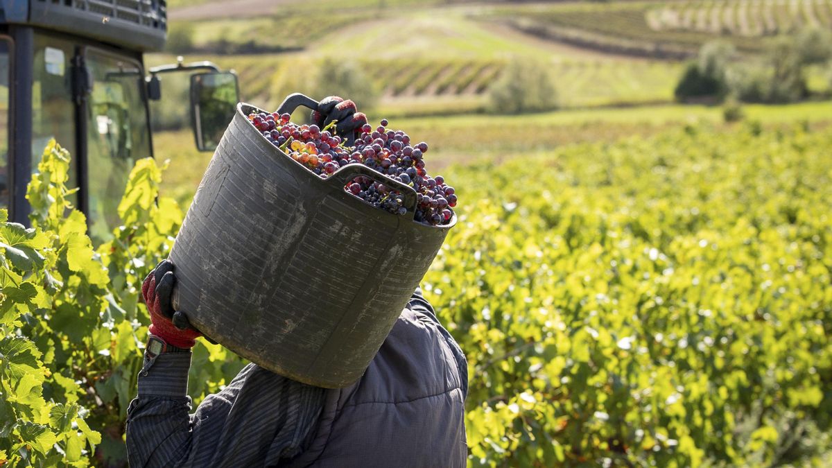 Los países de la UE aprueban el acuerdo comercial con Mercosur