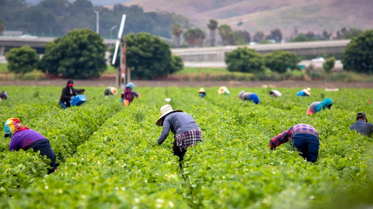A quién beneficia la irregularidad