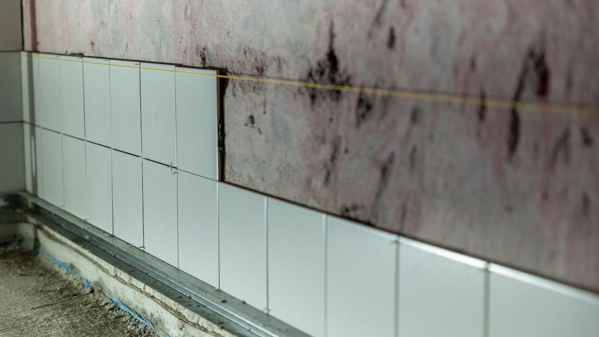 Moho en casa: por qué es peligroso y cómo eliminarlo de una vez por todas