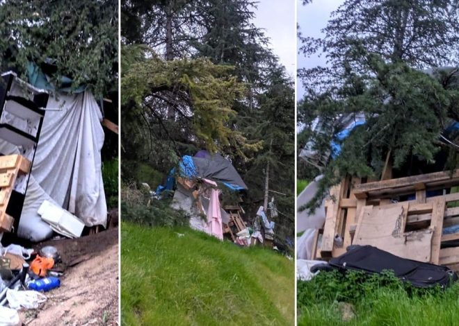 Almeida quiere ‘deschabolizar’ la M-30 y ha empezado en el terraplén de Ventas