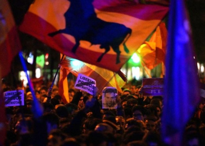 La Audiencia Nacional confirma un año de cárcel a un ultra que hizo un “llamamiento masivo” a atacar la web del PSOE en 2023