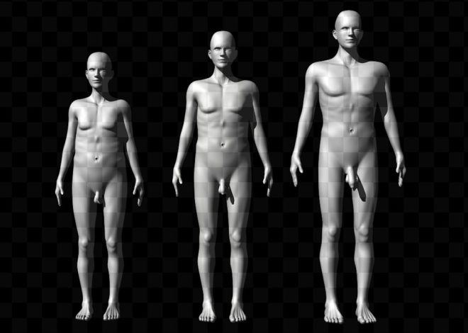 ¿El tamaño importa? Un estudio indica que el pene y la altura influyen en la atracción, pero no tanto como creen los hombres