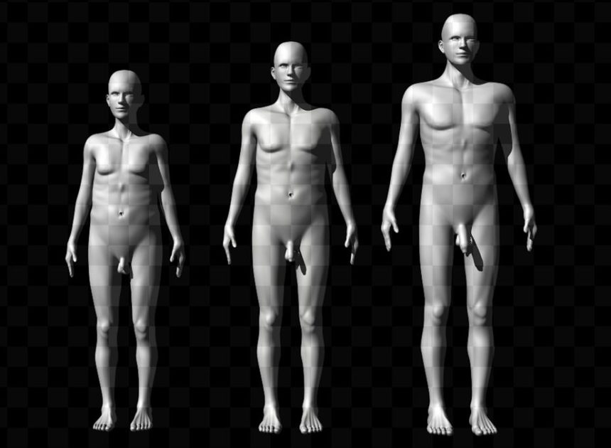 ¿El tamaño importa? Un estudio indica que el pene y la altura influyen en la atracción, pero no tanto como creen los hombres