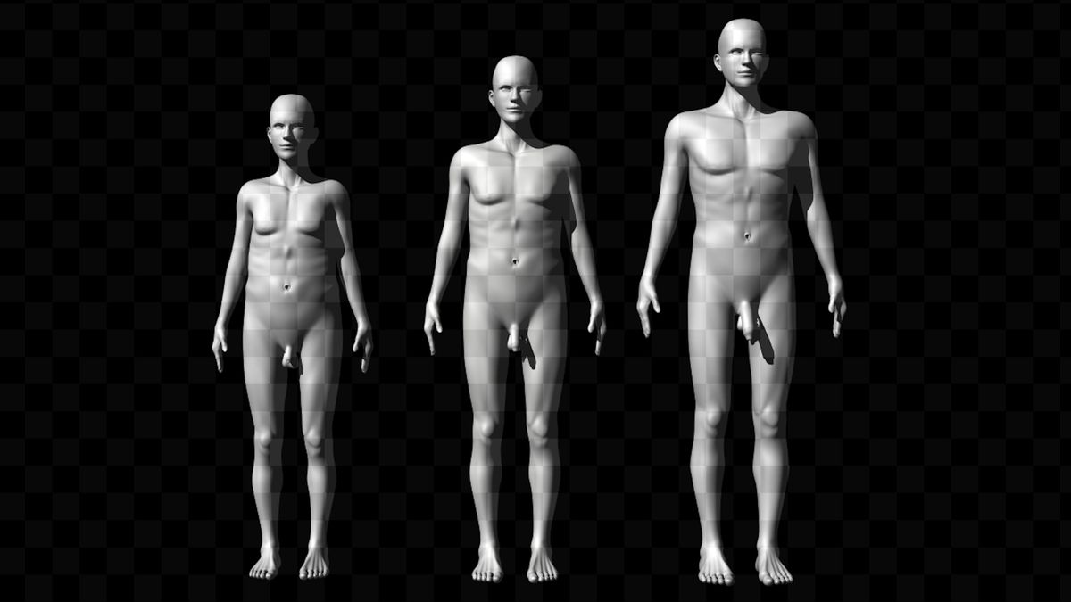 ¿El tamaño importa? Un estudio indica que el pene y la altura influyen en la atracción, pero no tanto como creen los hombres