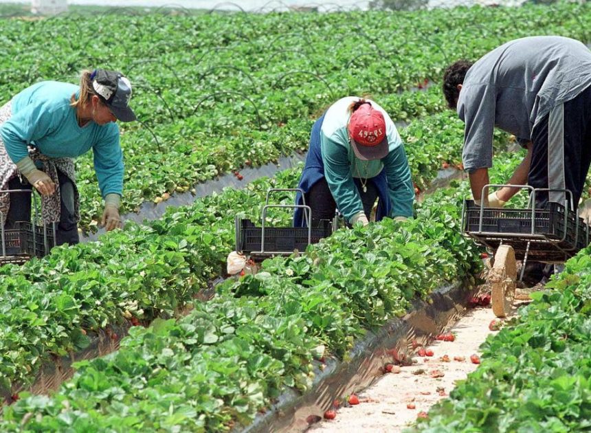 Inspectores de trabajo celebran la regularización de migrantes: «Es poner fin a una hipocresía estructural»
