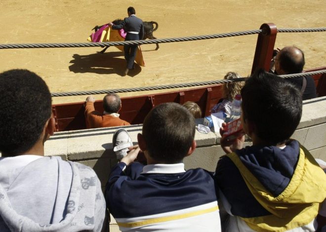 El Ministerio de Infancia propone impedir la entrada de menores a las corridas de toros