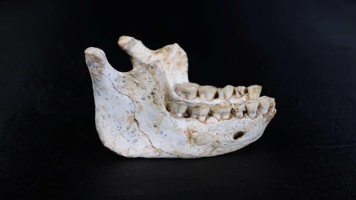 Unos fósiles de hace más de 770.000 años hallados en Marruecos podrían ser de ancestros muy cercanos a los humanos modernos