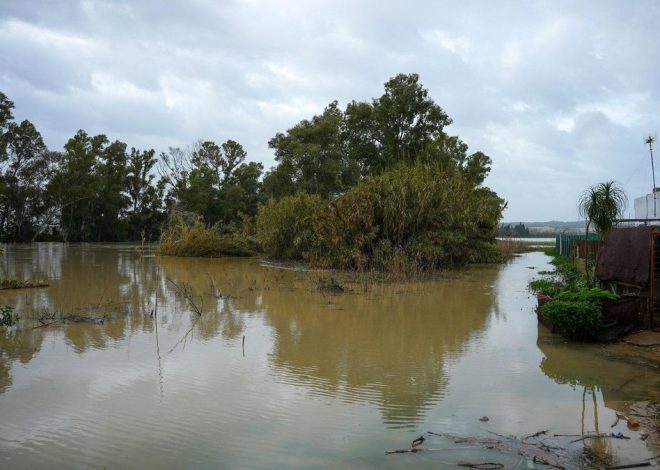Ríos desbordados, cascadas y situación crítica en la Serranía de Ronda de Málaga por el paso de la borrasca Leonardo