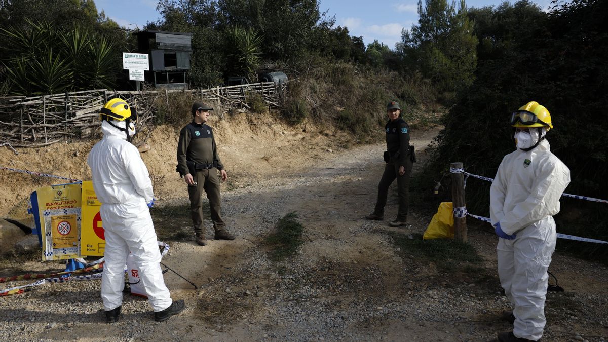 Agricultura descarta el laboratorio de Barcelona como origen del brote de peste porcina
