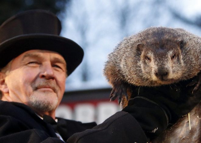 Día de la marmota 2026: por qué se celebra el 2 de febrero y cuál es su origen