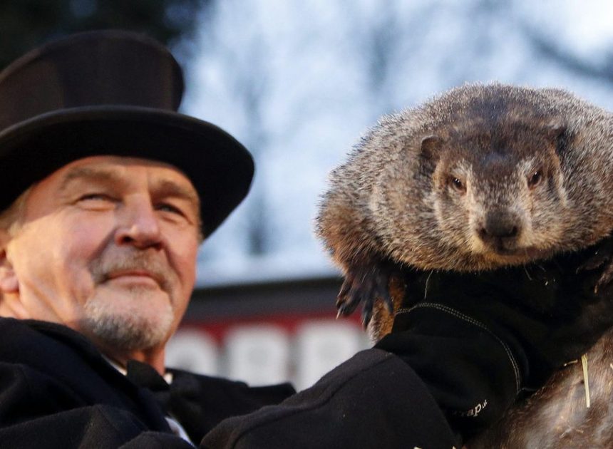 Día de la marmota 2026: por qué se celebra el 2 de febrero y cuál es su origen