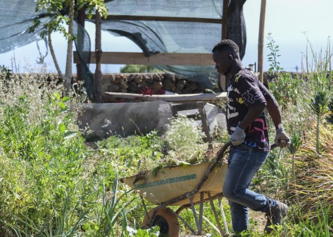 Sólo los ignorantes y los racistas se oponen a dar papeles a los inmigrantes
