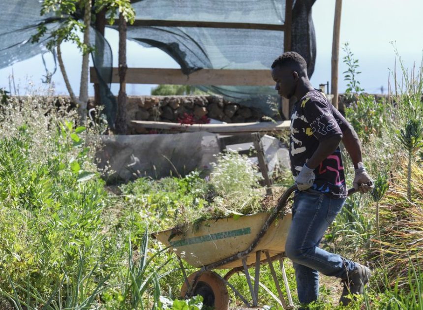 Sólo los ignorantes y los racistas se oponen a dar papeles a los inmigrantes