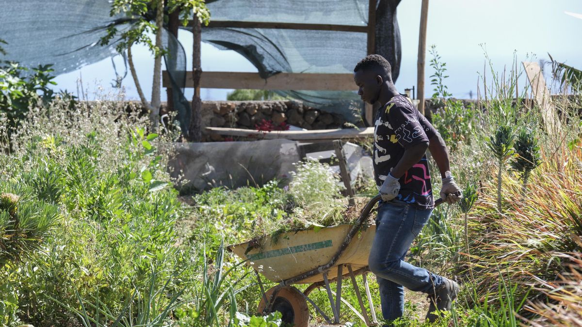 Sólo los ignorantes y los racistas se oponen a dar papeles a los inmigrantes