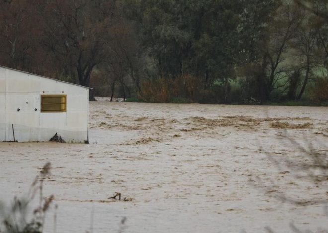 Buscan a una mujer desparecida en Sayalonga (Málaga) tras caer a un río en plena borrasca