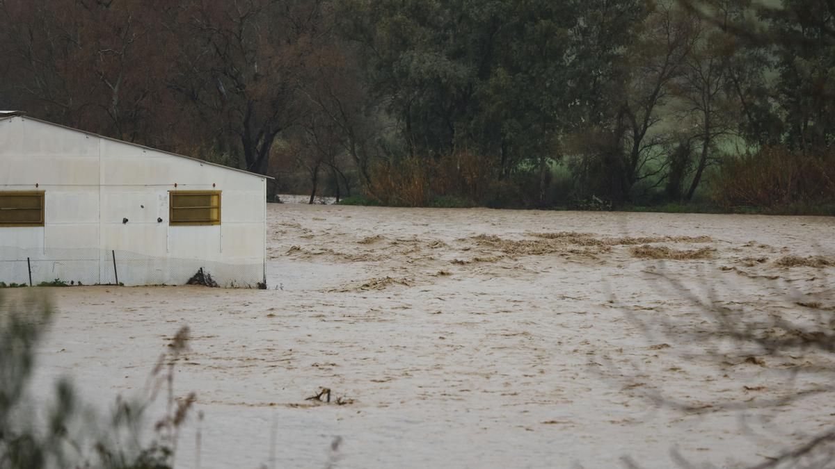 Buscan a una mujer desparecida en Sayalonga (Málaga) tras caer a un río en plena borrasca