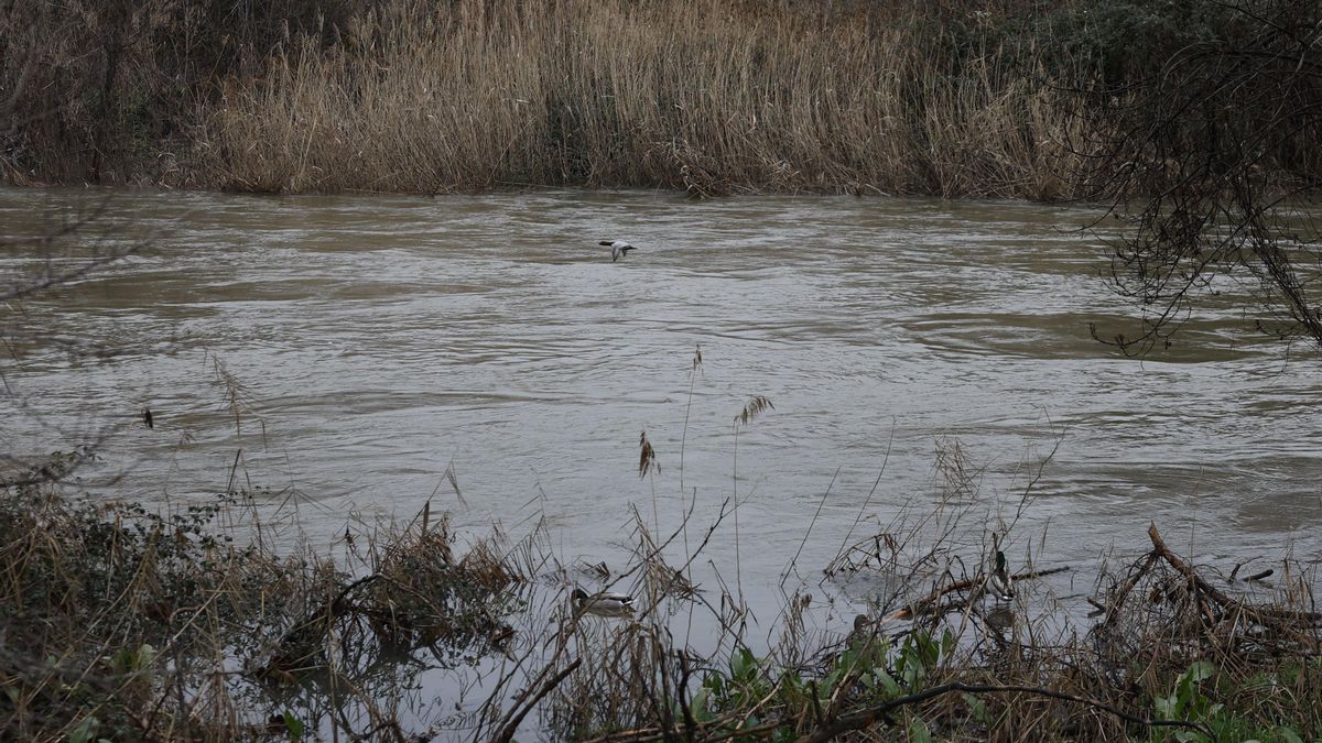 Castilla-La Mancha manda un Es-Alert a Seseña por el elevado nivel en el cauce del río Jarama