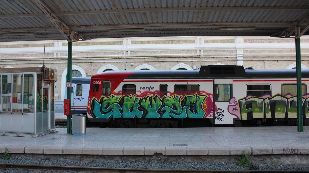 Cartagena, una “isla ferroviaria” con el cuarto mayor puerto de España: “Está desvertebrada económica y socialmente”