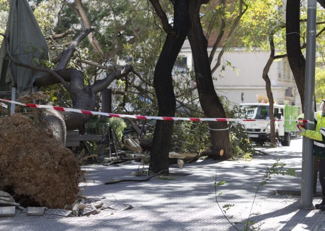 Muere la mujer que estaba en estado crítico tras la caída de un techo en Barcelona por el viento
