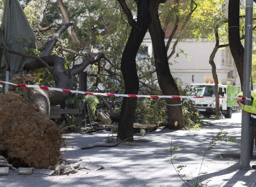 Muere la mujer que estaba en estado crítico tras la caída de un techo en Barcelona por el viento
