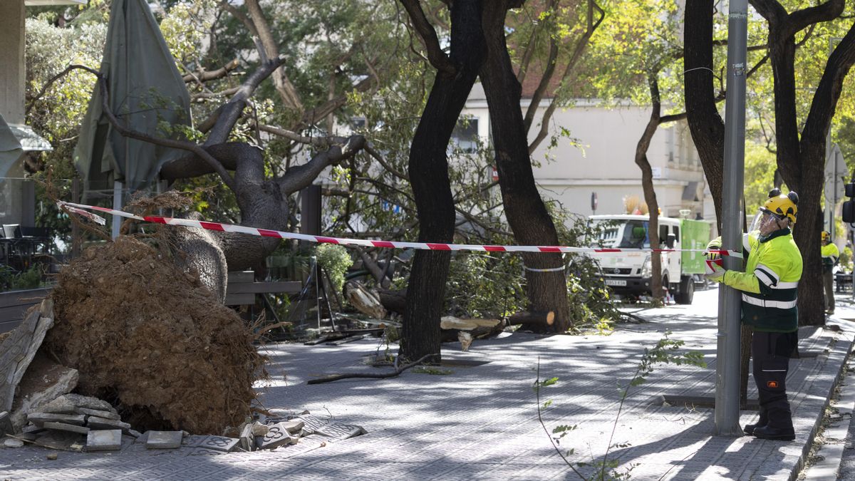 Muere la mujer que estaba en estado crítico tras la caída de un techo en Barcelona por el viento