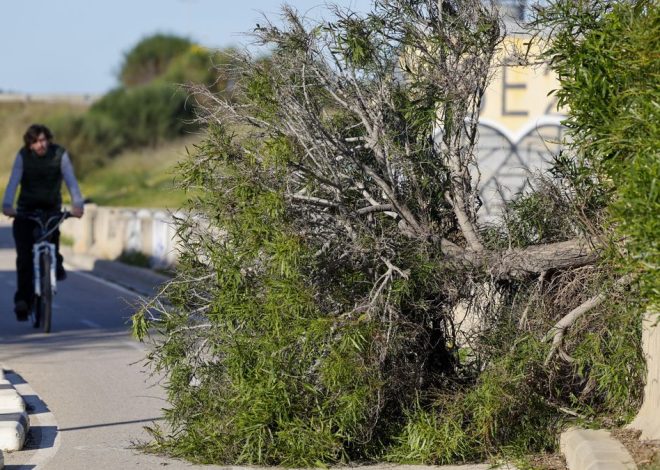La borrasca Nils azota la Comunitat Valenciana con vientos de poniente huracanados y rachas máximas de hasta 111 km/h