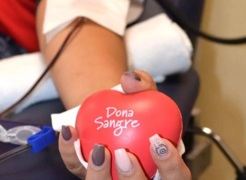 El “gen celta” de la hemocromatosis en Asturias: cuando la sangre es segura, pero no puede donarse