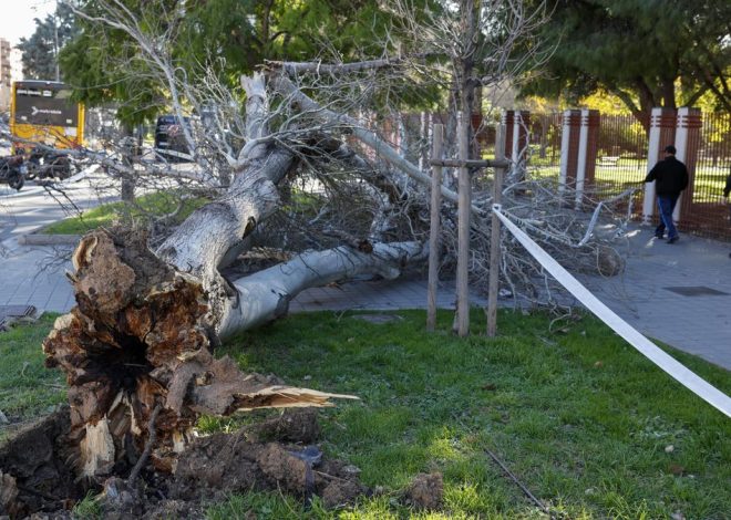 El 112 emite un aviso especial: la Comunitat Valenciana se prepara para días críticos de viento extremo