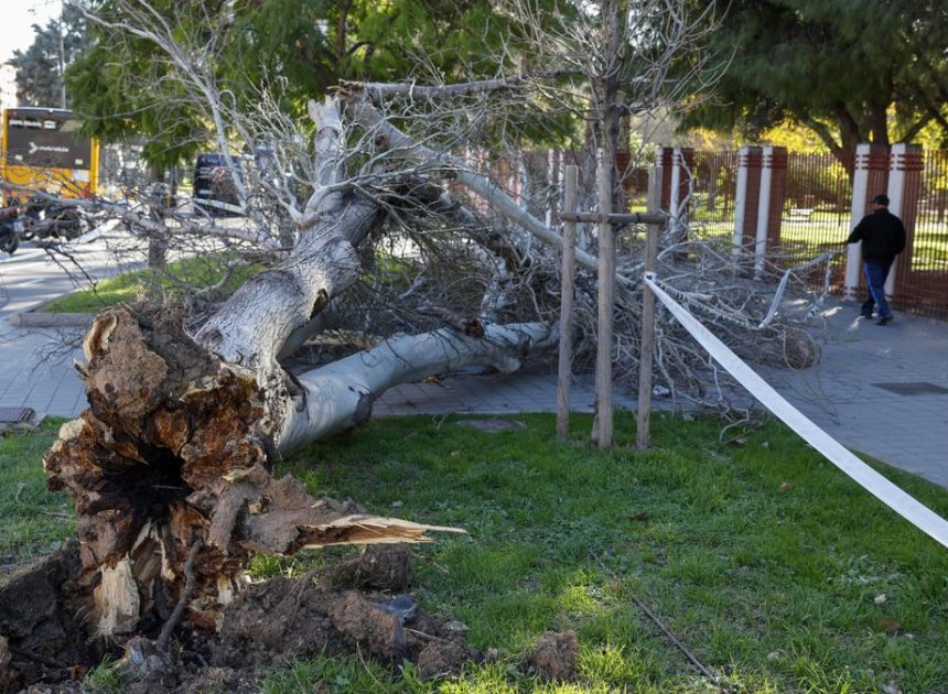 El 112 emite un aviso especial: la Comunitat Valenciana se prepara para días críticos de viento extremo