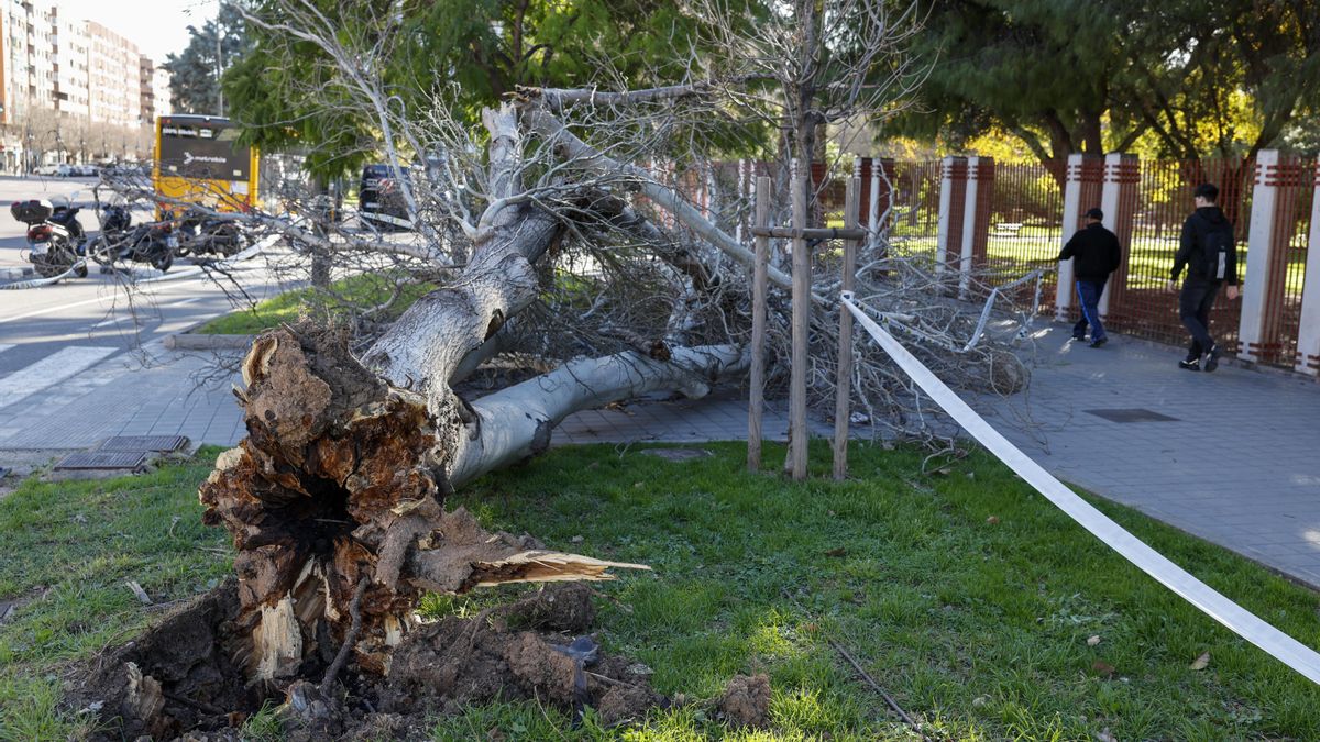 El 112 emite un aviso especial: la Comunitat Valenciana se prepara para días críticos de viento extremo