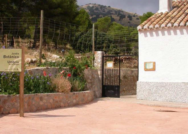 La red de jardines botánicos de Andalucía denuncia un recorte de plantilla por parte de la Junta que los condena a su cierre